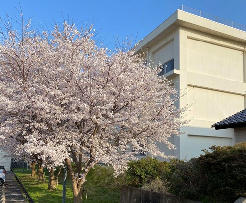 祝　電気電子工学科完成年度
